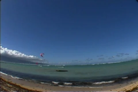 Kiteboard maui timelapse Stock Footage 1001930