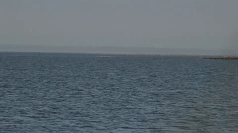 Kiteboarder Sailing Through Frame Stock Footage 54213483