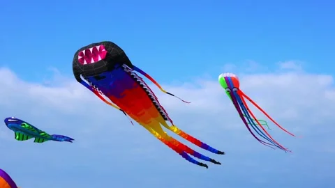 Kites against the sky Stock Footage 205008210