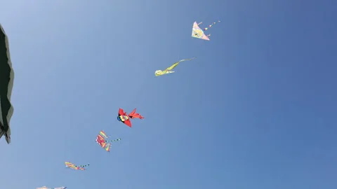 Kites in the air tied to a string flutter in the wind on the beach Video stock 251958416