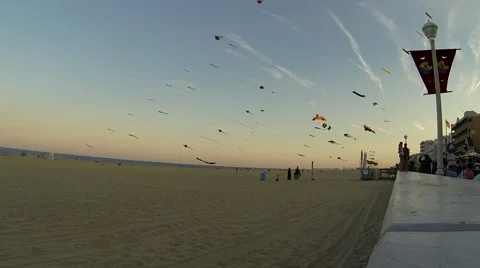 Kites on Beach in Evening Stock Footage 58205655