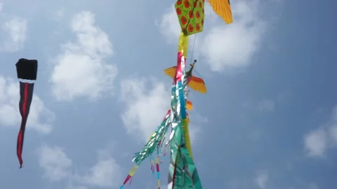 Kites birds in the sky Stock Footage 167848729