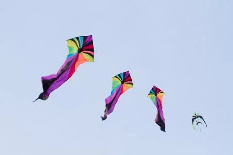 Kites with blue background Stock Photos