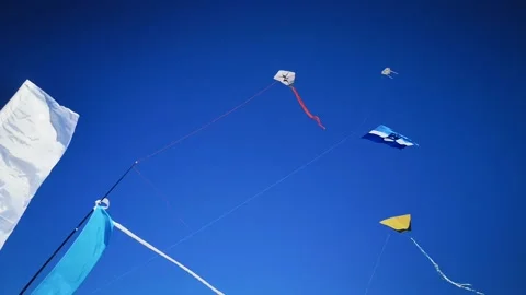 Kites in the blue sky Stock Footage 167376522