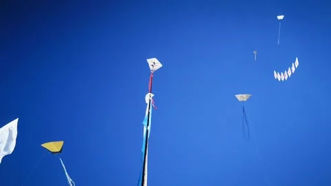 Kites in the blue sky Stock Footage 167376552