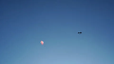 Kites in the blue sky Video stock 264157279