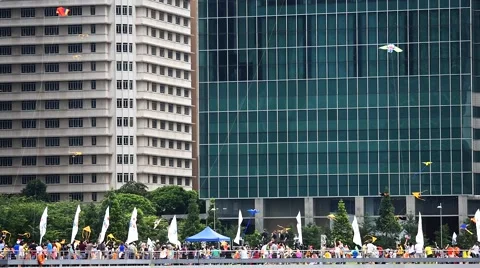 Kites Extreme Stock Footage 41218106