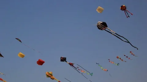 Kites Flight display Stock Footage 74378248