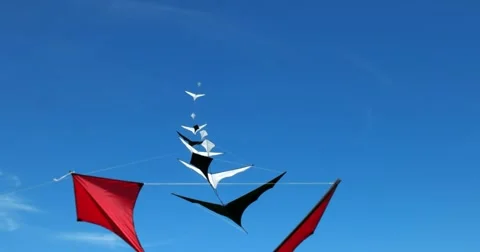Kites "flock of cranes" on the background of blue sky Stock Footage 66781853