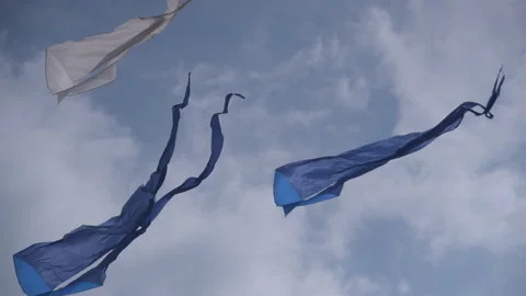 Kites fly in wind summer day 스톡 동영상 205161453