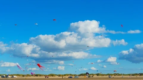 Kites flying in a beach Stock Footage 97082757