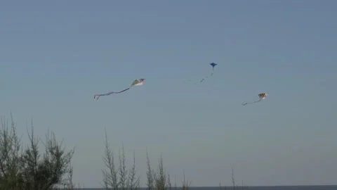 Kites flying at the beach Video stock 163557175