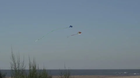 Kites flying at the beach Video stock 163557190