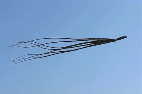 Kites flying Stock Footage 24971244