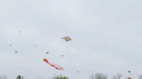 Kites Flying Stock Footage 105964738