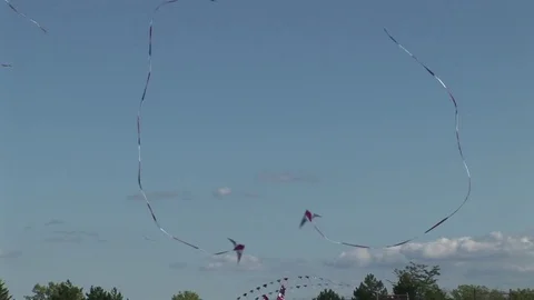 Kites flying in formation 스톡 동영상 72571539