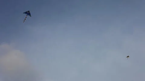 Kites flying high in the sky Stock Footage 61629430