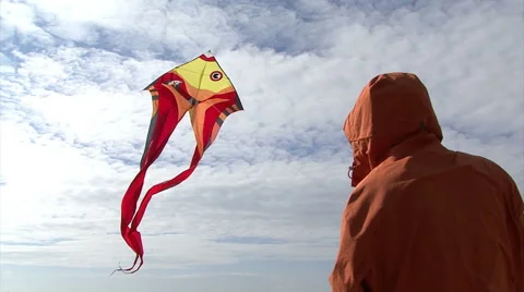 Kites flying in the sky Vídeo Stock 43117941