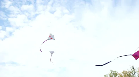 Kites flying in the sky 動画素材 55301060