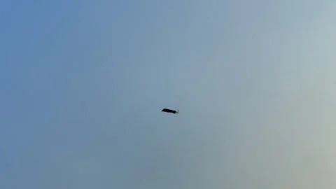 Kites flying in the sky Stock Footage 252195440