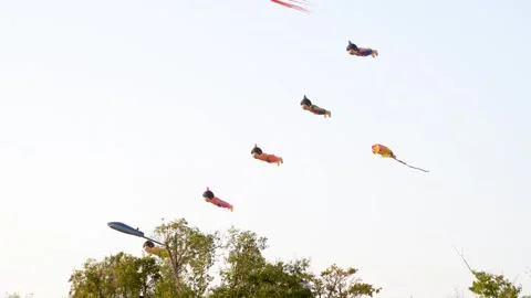 Kites flying in the sky Stock Footage 255341072