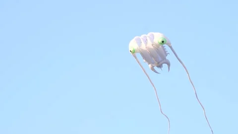 Kites flying in the sky Stock Footage 255341154