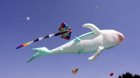 Kites flying in sky with large shark shaped inflatable during festival Stock Footage 333451545