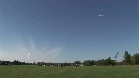 Kites in formation Stock Footage 72572073