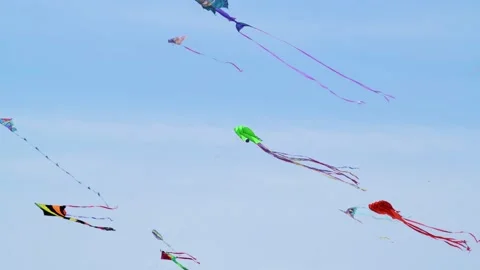 Kites Kites Kites Stock Footage 132217233