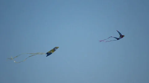 Kites in a park 動画素材 36966120