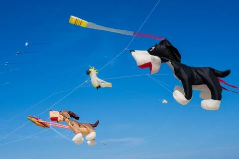 Kites Stock Photos