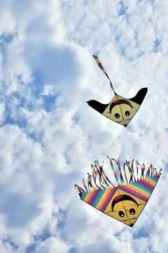 Kites. Stock Photos
