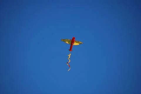 Kites rise Stock Photos