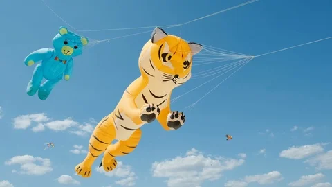 Kites in the shape of animals, a tiger and a bear fly air against the blue sky Stock Footage 115950437