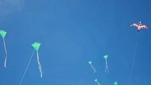 Kites in shape of bird flying in sky among dozens of different kites Video stock 76264714