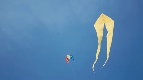 Kites in shape of cramp-fish flying in sky among dozens of different kites Stock Footage 76264880