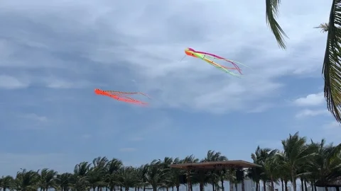 Kites in the shape of a squid floating in the wind on the beach. Stock Footage 307277082