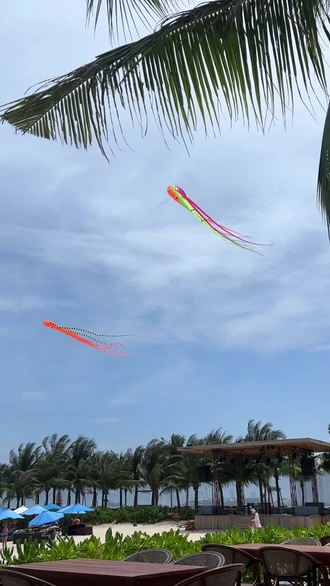 Kites in the shape of a squid floating in the wind on the beach. Stock Footage 307277141