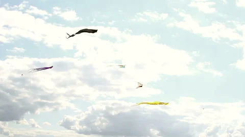 Kites in the sky Stock-Footage 42186686