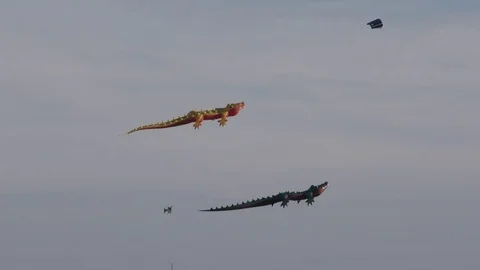 Kites soar high in the sky Vídeos de archivo 76149734