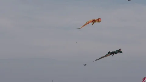 Kites soar high in the sky Vídeos de archivo 76156825