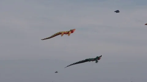 Kites soar high in the sky Vídeos de archivo 76181628