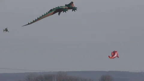 Kites soar high in the sky Vídeos de archivo 76213216