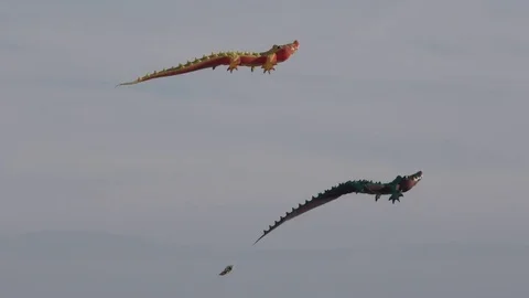 Kites soar high in the sky Vídeos de archivo 76494106