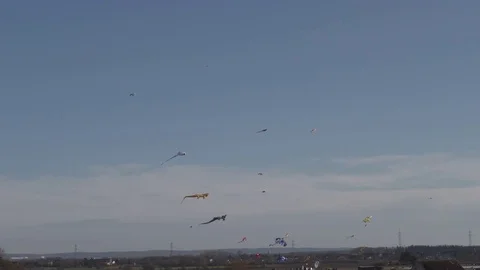 Kites soar high in the sky Vídeos de archivo 76830932