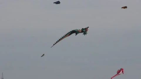 Kites soar high in the sky Vídeos de archivo 154551201