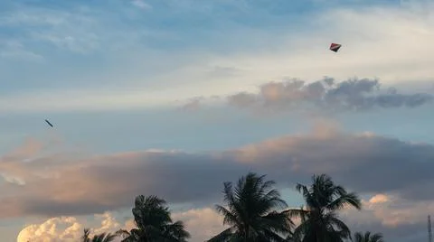 Kites Soaring in a Cloudy Sunset Sky Above Palm Trees 스톡 사진