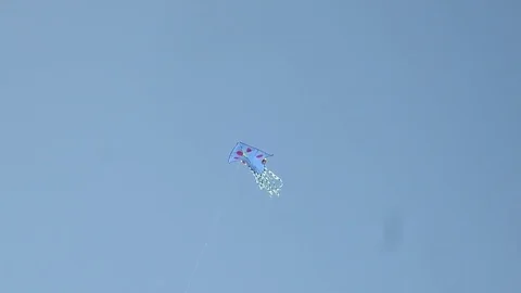 Kites swirl in the air Stock Footage 80460329
