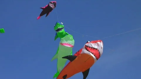 Kites in the wind 库存影片 545600