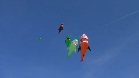 Kites in the wind Vidéo 545660